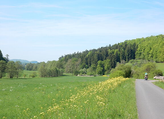 Radweg in Südthüringen